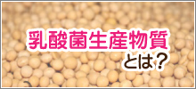 乳酸菌生産物質とは?